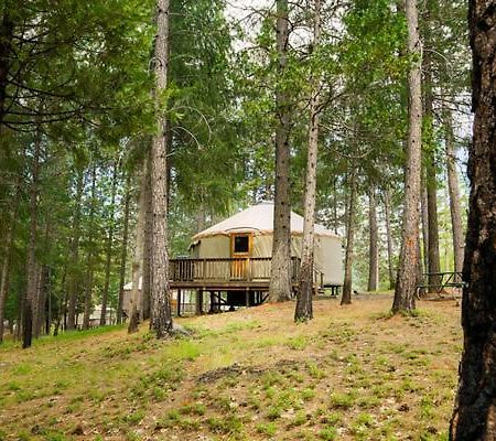 Yosemite Lakes Hillside Yurt 14 Harden Flat Dış mekan fotoğraf