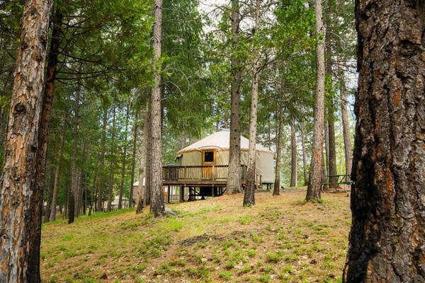 Yosemite Lakes Hillside Yurt 14 Harden Flat Dış mekan fotoğraf